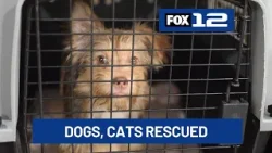 OHS takes in 21 pets from second animal neglect case in Lake County