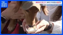 「肉球熱いか心配」今年初の“夏日” 都内で犬と楽しむイベント　静岡市は30.3℃で本州初の“真夏日”に　各地で29℃台を記録するなど4月中旬とは思えない季節外れの暑さに｜TBS NEWS DIG