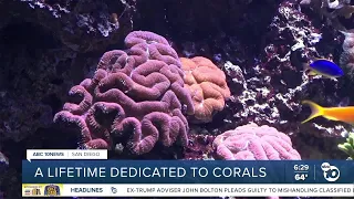 After 35 years caring for corals, Birch Aquarium curator retires