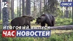 Bear Population Increases 2.5x / Teacher's Day / Port-Art Festival. Omsk News