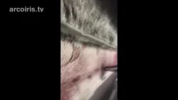 Nawal Soufi: Rotta balcanica