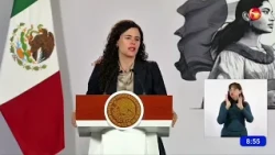 Only Mexican nationals will be able to hold public office according to new decree