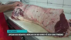 Apesar dos desafios, mercado do boi gordo vê 2026 com otimismo