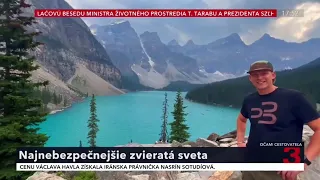 Ako si dávať pozor na medvede?