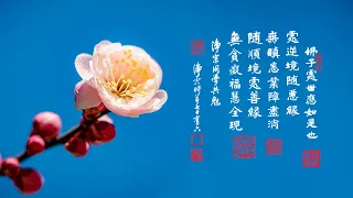 淨空老法師｜大經專修（二）｜遇到阿彌陀佛，真是如獲至寶-第0141集