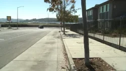 2 killed, 2 injured in deadly morning shootings, crash in Vallejo: police