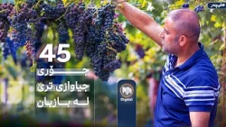 فیچەر: بەرهەمهێنانی جۆرە جیاوازەکانی ترێ