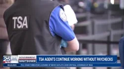 «Опасная ситуация»: аэропорт Логан готовится к кадровому кризису в Управлении транспортной безопа...