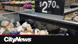 Thanksgiving meals taking a bigger bite out of grocery budget