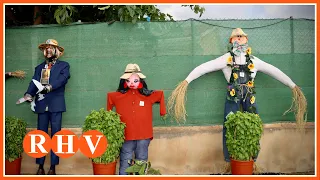 Don Pedro neighborhood fills its festivities with creativity with the traditional scarecrow contest
