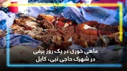 Eating fish on a snowy day in Haji Nabi Township Kabul