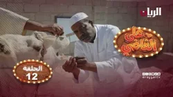 المسلسل الكوميدي على الفاضي - الحلقة 12 المسلسل الكوميدي على الفاضي - الحلقة 12