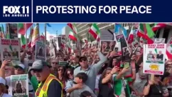 Iranian-Americans protest gov't crackdown