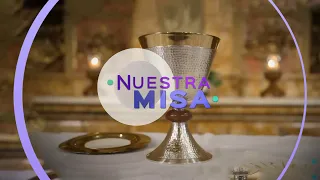 Our Mass || 17th Sunday in Ordinary Time
