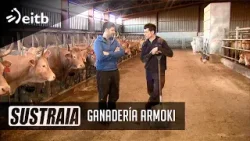 SUSTRAIA: Ganadería Armoki, Alternativa cultivos alaveses y Euskal okela