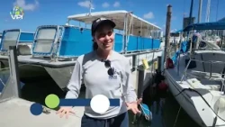 Miami Waterkeeper promotes environmental protection in Biscayne