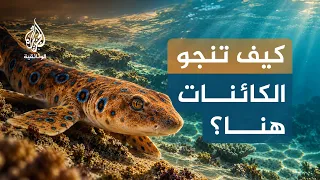 بين مد وجزر.. كيف تنجو الكائنات عندما ينحسر البحر؟ | الحلقة الثانية