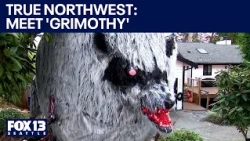 True Northwest: Bainbridge Island artist creates huge 'Grimothy' Halloween animatronic