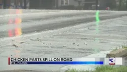 Ведется уборка мусора после того, как части курицы разбросаны по шоссе 51 в Миллингтоне.