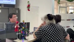 02 FEB 2026 Febrero registra aumento para la PGU