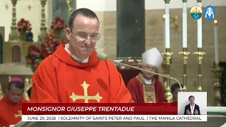 Homily | 29 June 2026