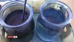 Modrotlač predstavili v novej aj historickej podobe