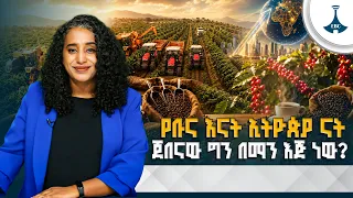የቡና እናት ኢትዮጵያ ናት… ጀበናው ግን በማን እጅ ነው?