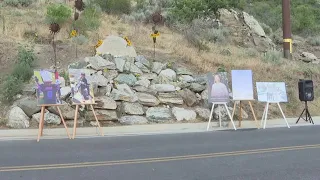 Davis County family turns grief into action after their son lost his life on transmission tower