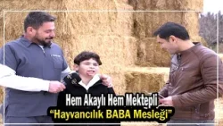 Hem Alaylı Hem Mektepli "Hayvancılık BABA Mesleği"