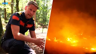 Natuurbrand Venray: dit is hoe brandweer het vuur probeert in te sluiten | RTL Nieuws