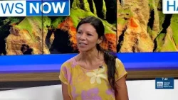 Sea Life Park Hawaii begins new chapter under Native Hawaiian stewardship