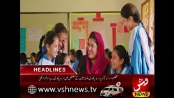 | Vsh News