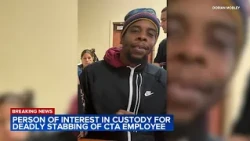 Person of interest in custody for stabbing of CTA worker