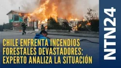 Chile enfrenta incendios forestales devastadores con 18 muertos: experto analiza la situación