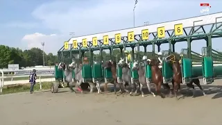 شوط كأس صاحب السمو رئيس الدولة للخيول العربية الأصيلة | مضمار سان سيرو - إيطاليا