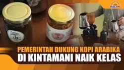 PEMERINTAH DUKUNG KOPI ARABIKA DI KINTAMANI NAIK KELAS