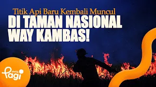 [detikPagi] - New Hotspots Emerge Again at Way Kambas National Park!
