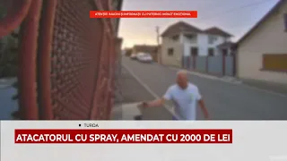 ATACATORUL CU SPRAY, AMENDAT CU 2000 DE LEI