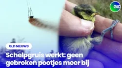 GLD Nieuws 23 maart 2026 GLD Nieuws 23 maart 2026