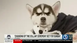 CHANGING OF THE COLLAR: UConn’s Jonathan to pass mascot duties to the next husky