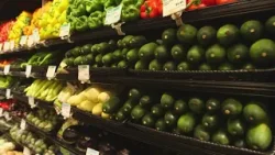 What you should be eating during your different life stages