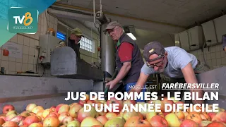 Jus de pommes : le bilan d'une année difficile à Farébersviller