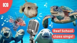 Reef School Class sings Teency Weency Turtle | Reef School