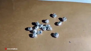 Police dismantle heroin distribution ring in Primorye