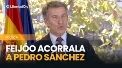 Feijóo demands that Sánchez clarify who ordered them to "get rid of" Judge Biedma