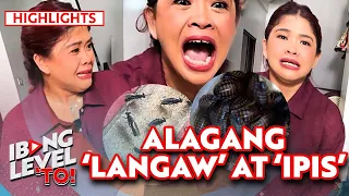 Dubia Roach at Black Soldier Fly, uri ng ipis at langaw pinapakain sa ibang hayop | Ibang Level To