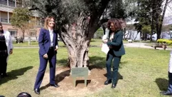 Monaldi, un ulivo per Domenico: assente la famiglia