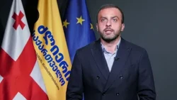 „ოცნების“ კორუფციასთან ბრძილის მოტივი არის ერთი - „კლანებმა“ ერთმანეთზე იძიონ შური - სიორიძე.