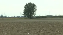 Sve izraženiji agrarni problem manjka i rasta cijene umjetnih gnojiva