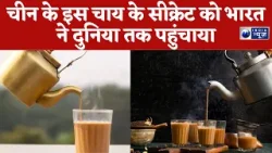 चीन के इस चाय के सीक्रेट को भारत ने दुनिया तक पहुंचाया | India News Haryana